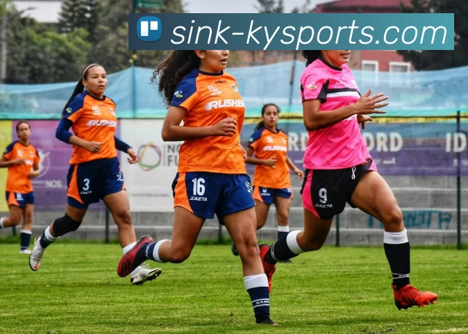 开云平台生态图